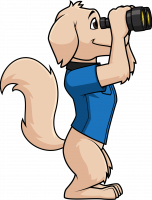 dog 2